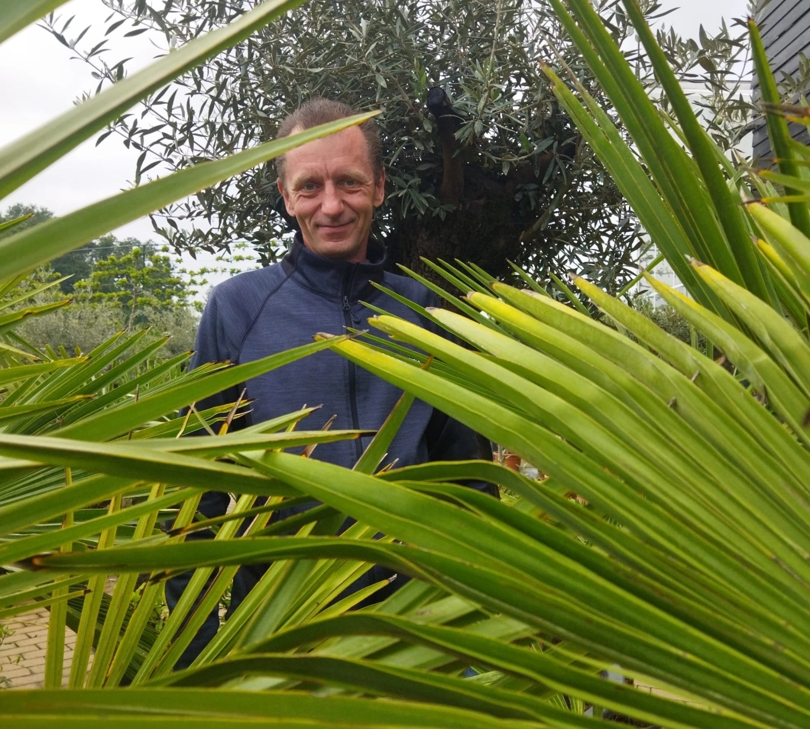 beplanting in de tuin